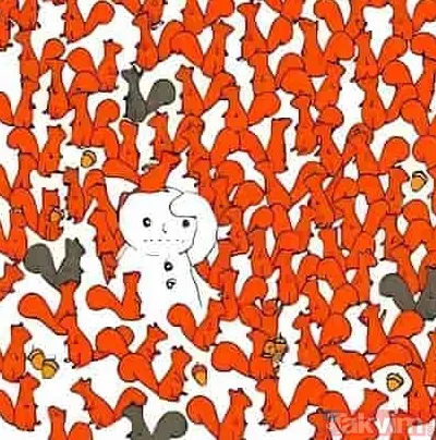 En dikkatli insanları ortaya çıkaran IQ testi! 5 havucu 21 saniyede bulan hedefi 12'den vuruyor - 5