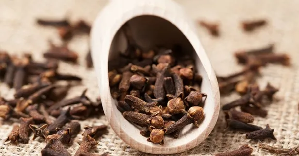 Karanfille şifa bul