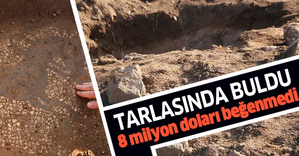 Tarlasında 2200 yıllık mozaik buldu! 8 milyon dolarlık teklifi beğenmedi-1
