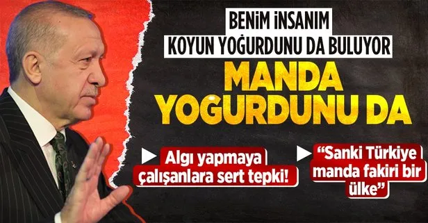 Başkan Erdoğan ’Manda yoğurdu’ polemiklerine cevap verdi: Herkes markette de buluyor evinde de yapıyor
