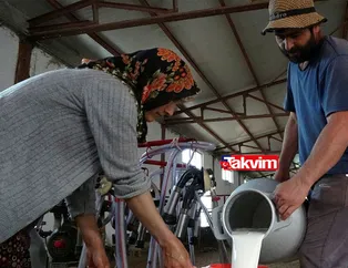 Hibe desteği alıp kendi işinin patronu oldular! Şimdi milyonlar kazanıyorlar! Siz de yapabilirsiniz