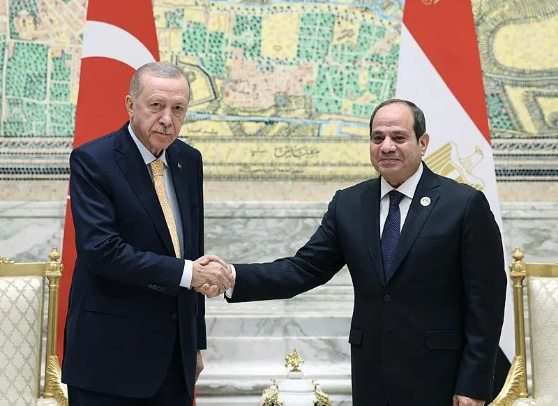 Başkan Recep Tayyip Erdoğan, D-8 Zirvesi'ne katılmak üzere geldiği Mısır'ın başkenti Kahire'de, Mısır Cumhurbaşkanı Abdulfettah es-Sisi ile bir araya geldi.