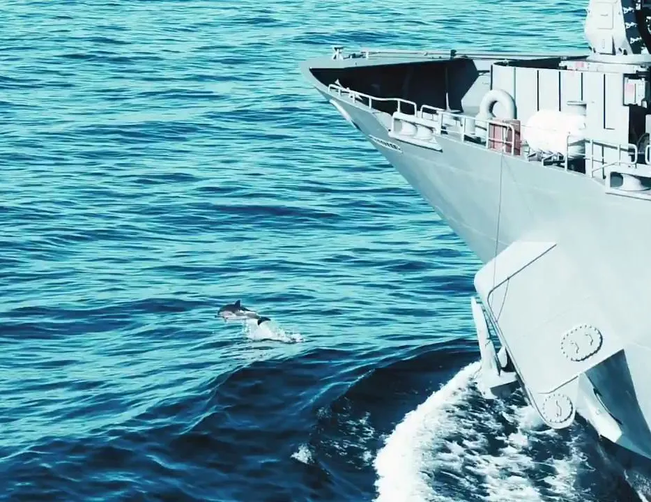 Yunuslar Mavi Vatan’da yalnız bırakmadı