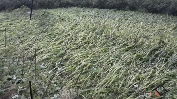 Son dakika: Karadeniz'i fırtına vurdu: 1 kişi öldü, 2 polis yaralı!-8