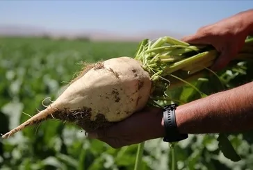 Kısıtlama olmayacak