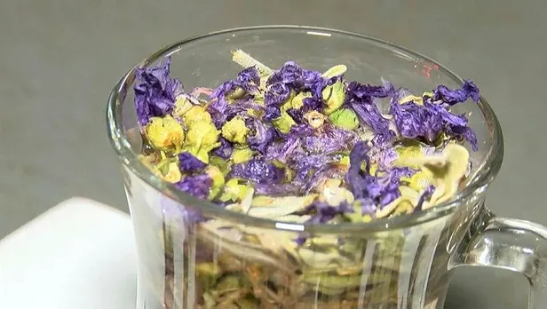 SON DAKİKA: Kovid-19'a karşı adaçayı-ebegümeci karışımı nasıl yapılır? İbrahim Saraçoğlu canlı yayında açıkladı-3