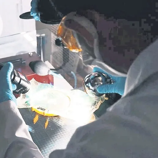 Cinayet gün yüzüne çıktı