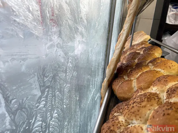 Ardahan'da saç donduran soğuk! Hava sıcaklığın -20'ye kadar düştü - 1