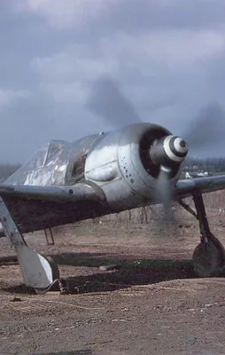 70 yıldır saklanan bir gerçek daha ortaya çıktı