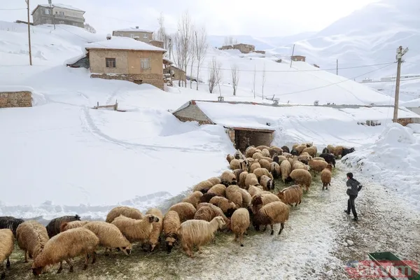 Kar kalınlığı 2 metreyi aştı! Van'ın köylerinde 'beyaz esaret' yaşanıyor - 10