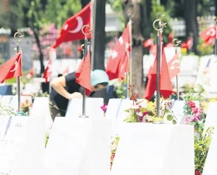 Terör mağdurlarına 212 milyon TL destek