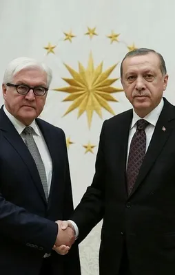 Erdoğan'dan Steinmeier'e tebrik telefonu