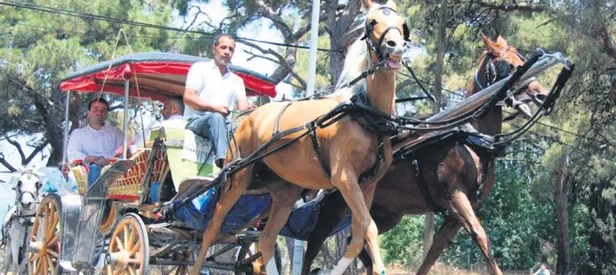 Fayton sefası-cefası