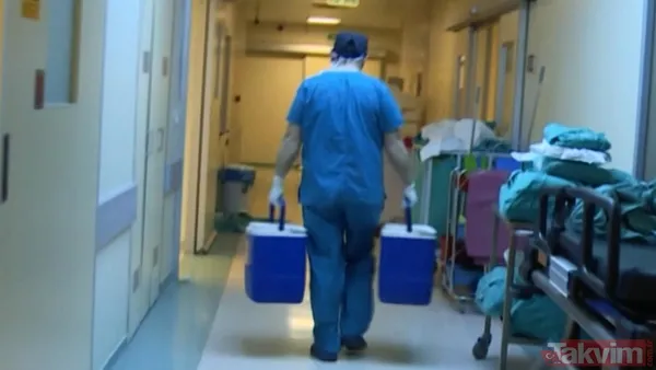 İŞKUR şehir hastaneleri personel alımı! Güvenlik, temizlik, klinik destek, şoför alımı başvuru şartları - 3