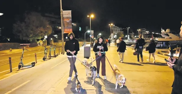 Oyuncu Aslı Bekiroğlu flaşlar patlayınca şok yaşadı! Soruları yanıtsız bırakıp erkek arkadaşıyla gözden kayboldu