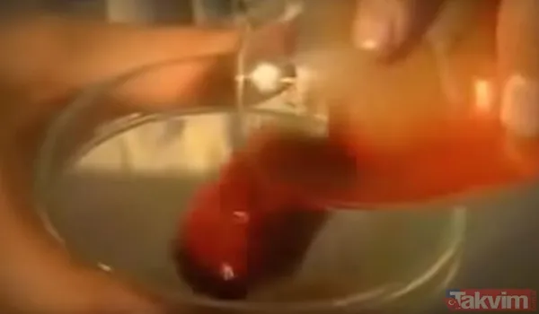 Sadece tek bir damlası kanı hale getirmeye yetti! 55 milyonluk yılan deneyi tehlikenin kanıtı - 27