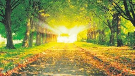 Aslı Enver ile Murat Boz’un hayranları “AsMur” ormanı kurdu-2