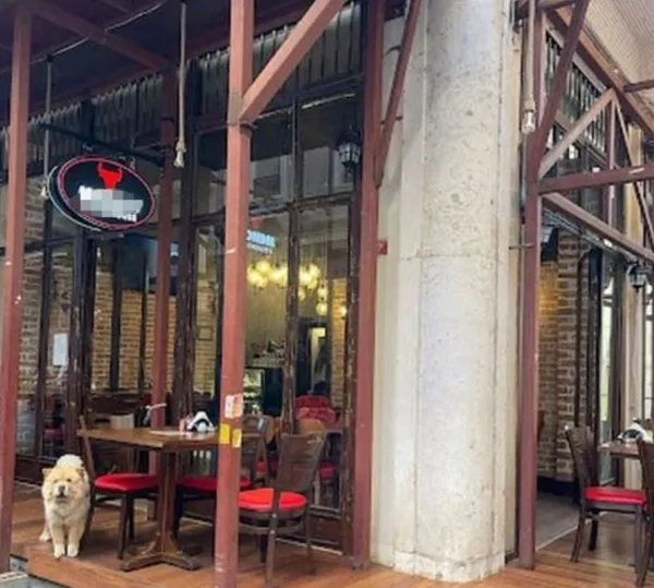 restoranda-kopek-saldirisi-unlu-sanatci-ali-kalin-siparisini-beklerken-kulagini-kopardi-savciligin-yolunu-tutt-1692855800083.jpg Restoranda köpek saldırısı! Ünlü sanatçı Ali Kal’ın siparişini beklerken kulağını kopardı! Savcılığın yolunu tuttu!-5