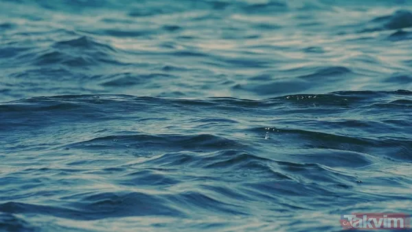 Titanic böyle yapılsaydı batmaz mıydı? Bilim dünyasını heyecanlandıran örümcek taktiği - 9