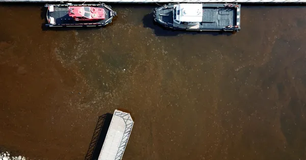 İzmit Körfezi’nde endişe yaratan görüntü! Nedeni ortaya çıktı