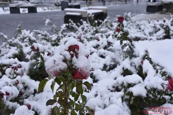 Kar, ayaz ve don alarmı: -16 derecelik soğuklar kapıda! Meteoroloji'den 3 ile sarı kodlu uyarı - 25