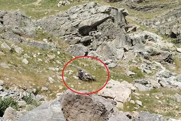 Sason Mereto'da facia: 5 ölü!