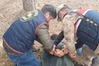 Kars'ta ormana kaçan firari hükümlü yakalandı!