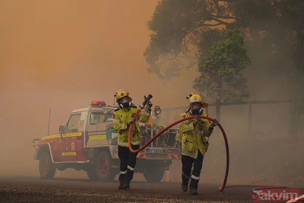 SON DAKİKA: Avustralya'da yangın faciası! 71 ev kül oldu - 2