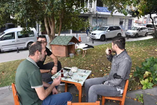 tekirdagda-suruden-ayrilan-leylege-bedesten-carsisi-esnafi-sahip-cikti-1632405021051.jpg Tekirdağ'da sürüden ayrılan leyleğe Bedesten Çarşısı esnafı sahip çıktı-3