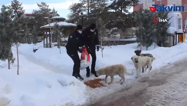 Van polisi sokak hayvanlarını unutmadı