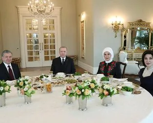 Erdoğan, Mirziyoyev ile görüştü