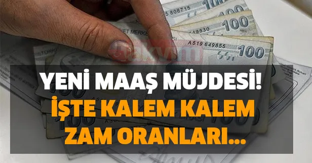 Emekli için yeni maaş müjdesi! İşte kalem kalem zam oranları...