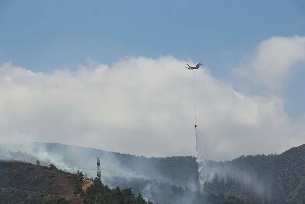 Hatay'da orman yangını! 4 kişi gözaltına alındı-2