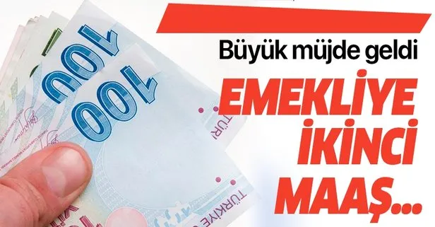 emeklilik sistemi ile emekliye