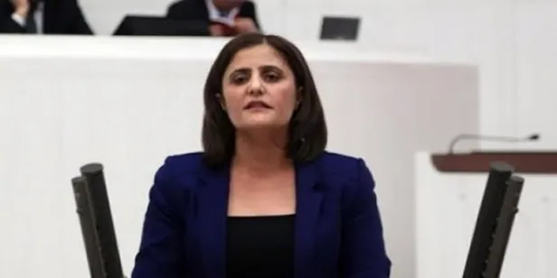 Dirayet Dilan Taşdemir kimdir, nereli? Dirayet Dilan Taşdemir nerenin milletvekili?-2