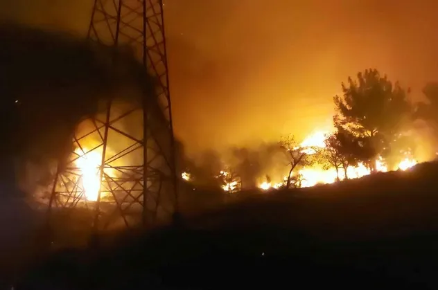 Hatay’da orman yangını!