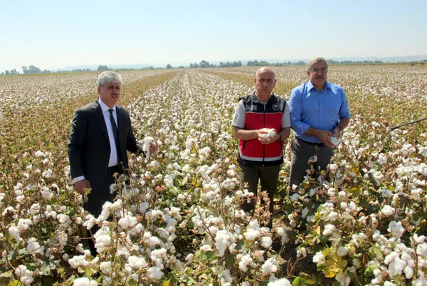 tarim-ve-orman-bakani-vahit-kirisci-pamuk-ureticisine-dekar-basi-destegi-76-liradan-271-liraya-yukselttik-1663503293096.jpg