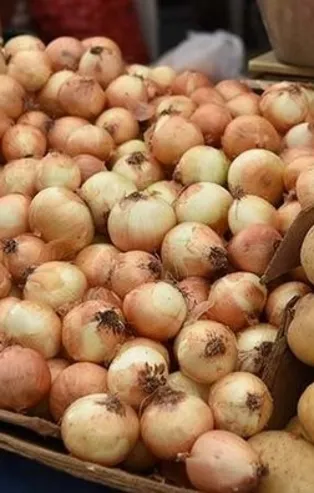 Bakan Pakdemirli 'Patates ve soğan ücretsiz dağıtılacak' demişti! Alımına başlandı...