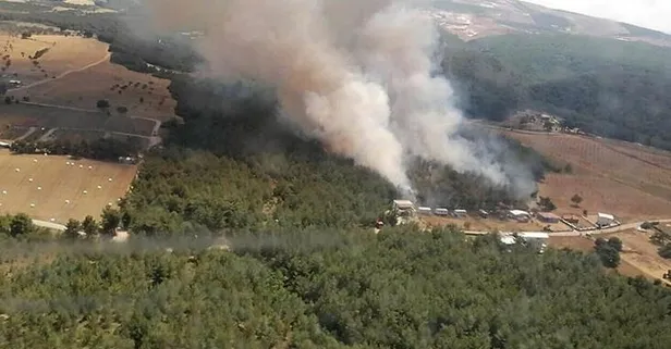 İzmir'de korkutan yangın!