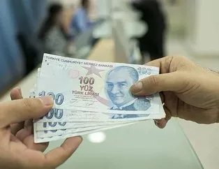 Arıcılara ek destek