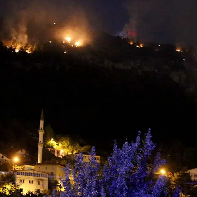 Karabük’te yine orman yangını!