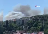 Burgazada'da ormanlık alanda yangın çıktı