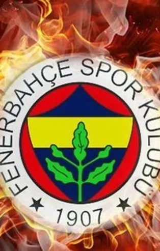 Fenerbahçe eski futbolcusu Mehmet Aurelio'yu resmen açıkladı