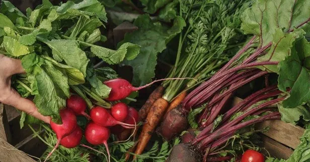 Kırmızı besinler, hastalıklarla savaşıyor!