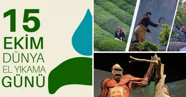 15 Ekim ne günü, anlam ve önemi ne? 15 Ekim'de ne oldu? Hem emek hem bilim için önemli bir tarih!