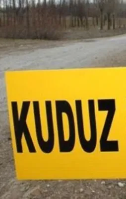 Kayseri'de kuduz karantinası