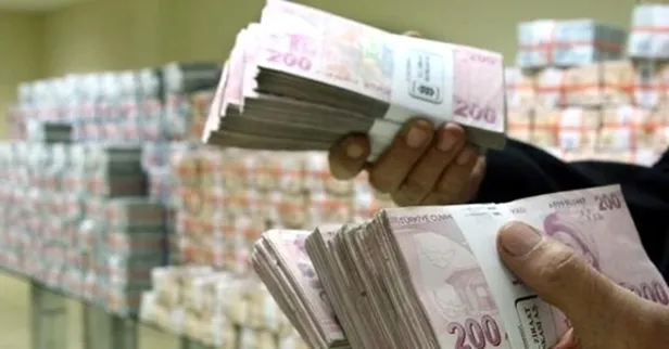 Sosyal Güvenlik Kurumu'nda en fazla unutulan ödemeler onlar! 801 TL veriliyor-2