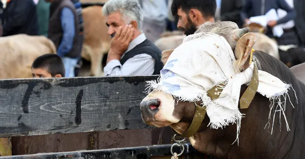 2019 kurban bayrami tatili ne