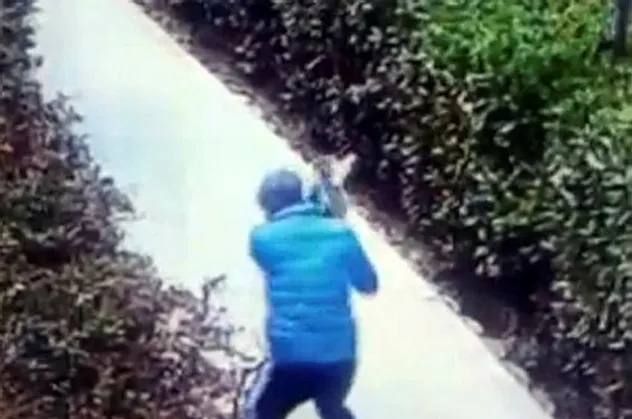 Son dakika: İstanbul Küçükçekmece'de bir şahıs kediyi yerden yere vurdu!