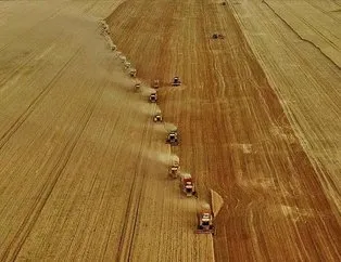 Harita değişiyor! Adana’da avokado, Antalya’da pepino...
